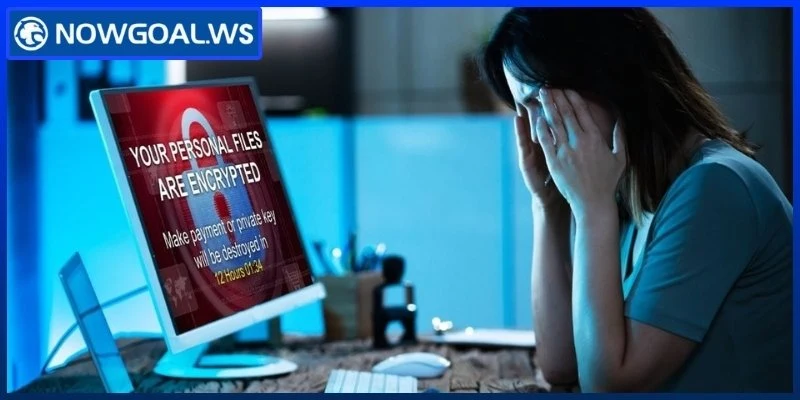 Những thông tin rủi ro và giới hạn trách nhiệm cần lưu ý
